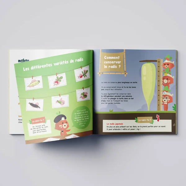 BOTAKI - KIT ACTIVITE SEMIS RADIS : CREE TON POTAGER MAISON