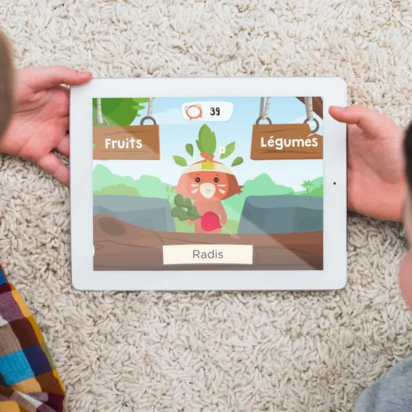 BOTAKI - KIT ACTIVITE SEMIS RADIS : CREE TON POTAGER MAISON