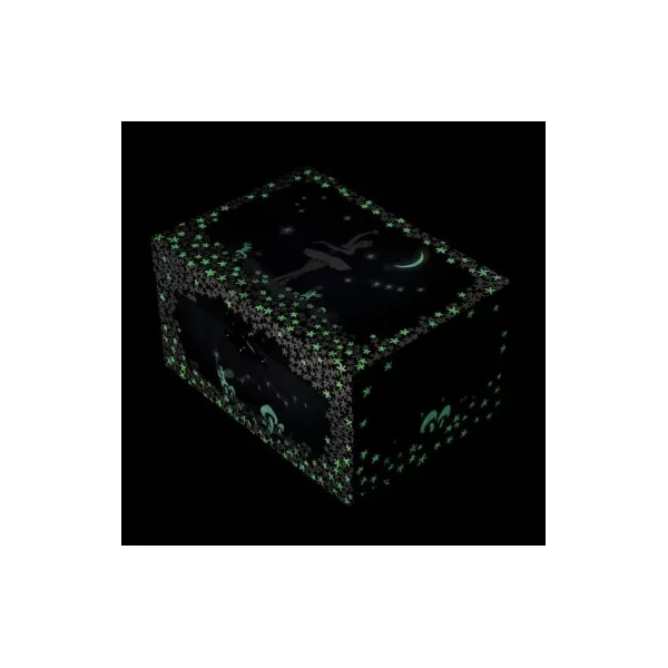 Boîte à Musique Danseuse Étoile Trousselier - Boîte à Bijoux | La Poule à Pois