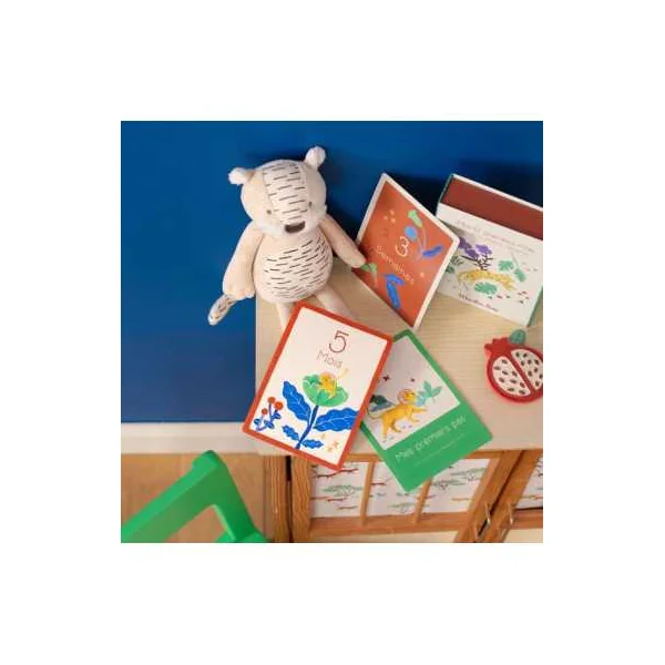 Cartes Mes 12 premiers mois La forêt Mawa - Moulin Roty