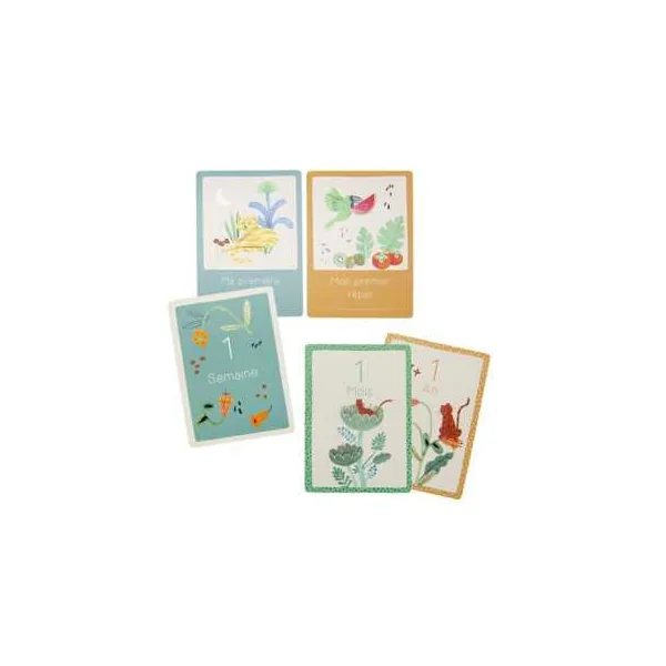 Cartes Mes 12 premiers mois La forêt Mawa - Moulin Roty