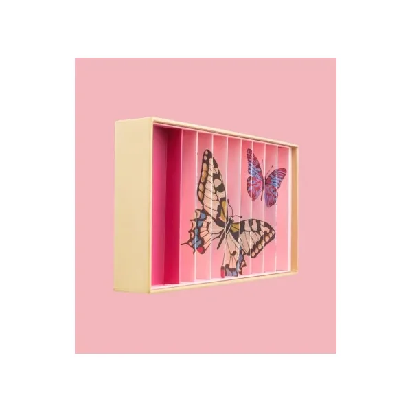 Coffret 59 billes Papillons Anamorphique Billes & Co | Billes de collection