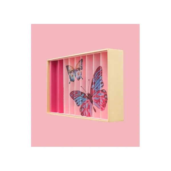 Coffret 59 billes Papillons Anamorphique Billes & Co | Billes de collection