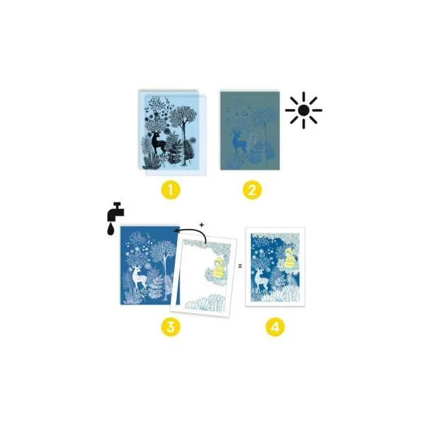 Cyanotype Au clair de la lune - Djeco - Activité créative