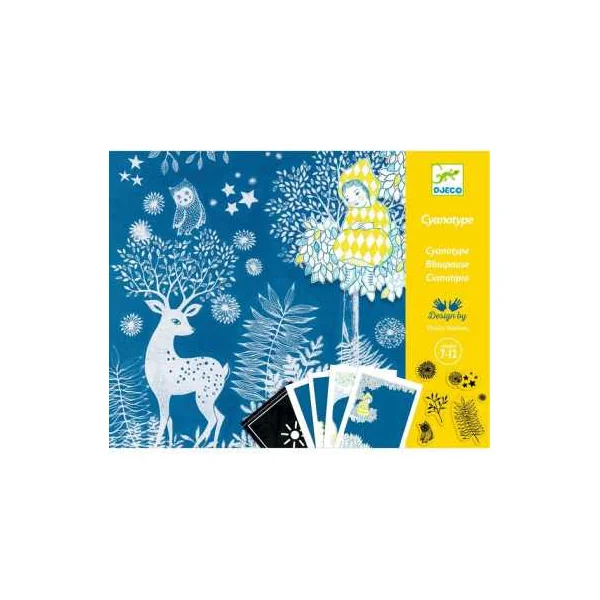 Cyanotype Au clair de la lune - Djeco - Activité créative