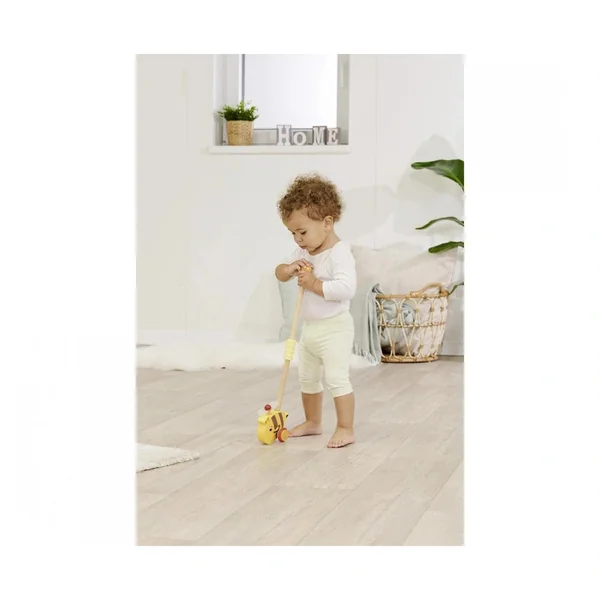 Eichhorn - Push Bee with Stick - Push & Pull Toys - Push & Pull Toys