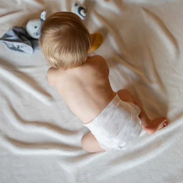 FEEDO Couches jetables Midi (de 4 à 9 kg), 54 pcs