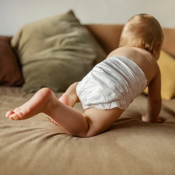 FEEDO Couches jetables Midi (de 4 à 9 kg), 54 pcs