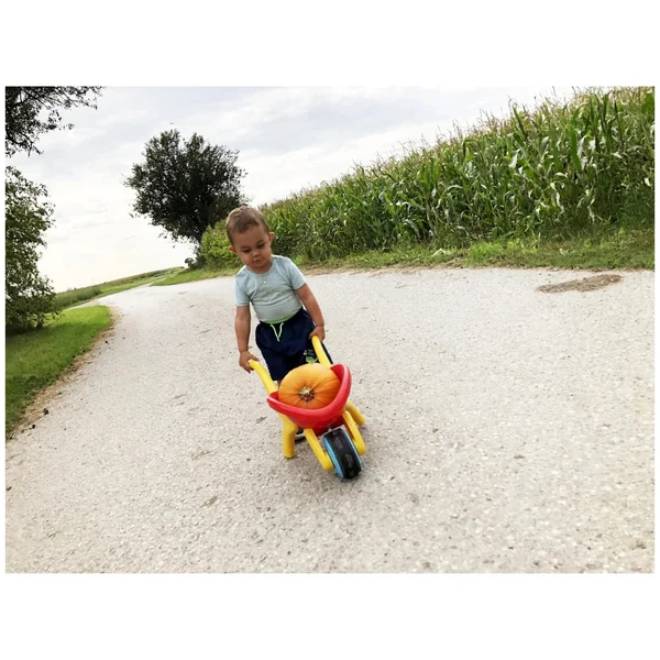 Gowi - Design Wheelbarrow Set Classic - 4 Pieces - Outdoor Play Equipment