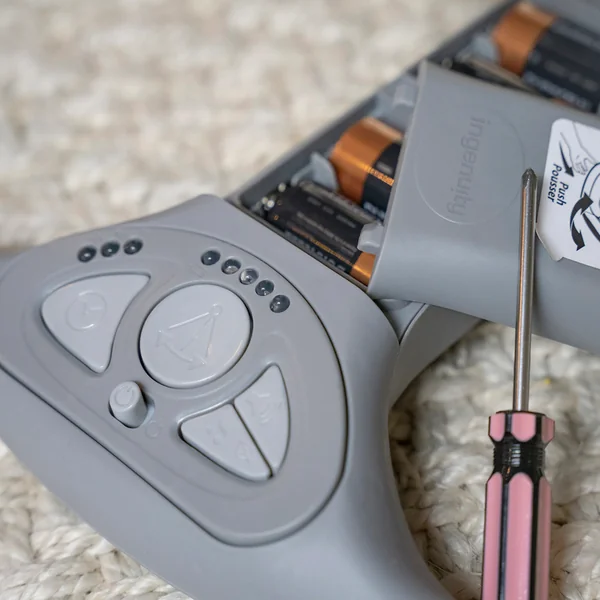 INGENUITY Balancelle convertible de voyage avec mélodie Bella Teddy™ 0m+ jusqu'à 9kg