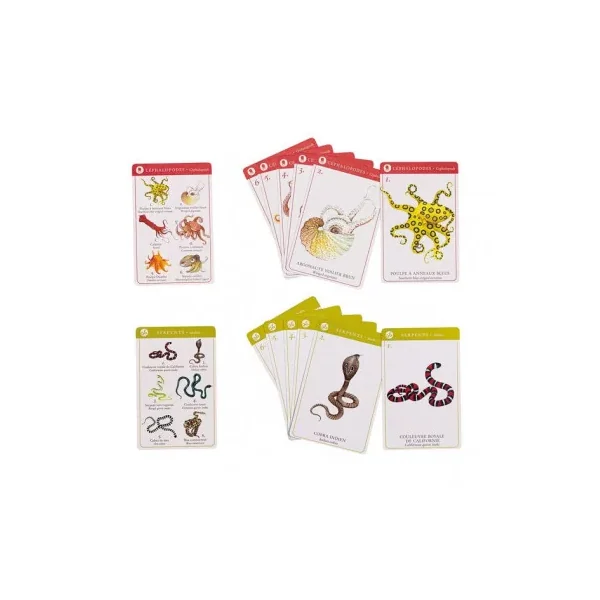 Jeu de 7 familles des espèces Tout autour du monde - Moulin Roty