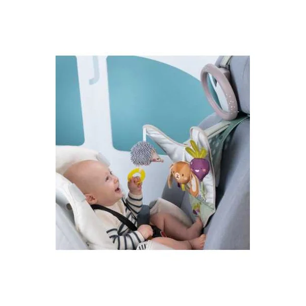 Jouet de Voiture Tout-en-1 Taf Toys | Éveil Sensoriel en Voyage