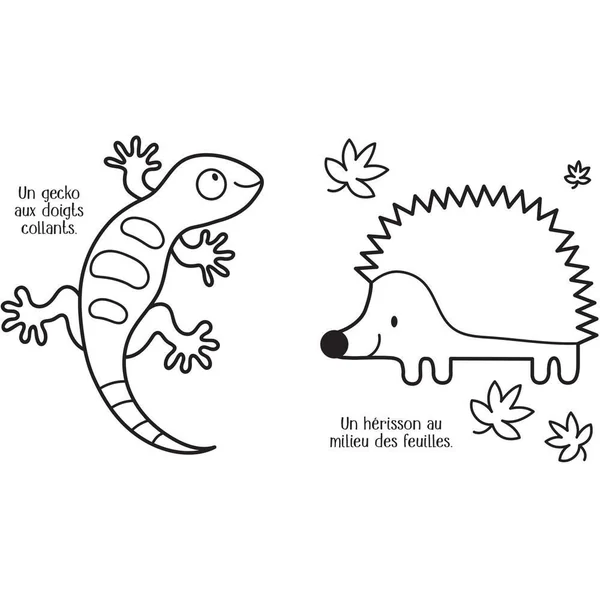 LES ANIMAUX - MON GRAND LIVRE DE COLORIAGE