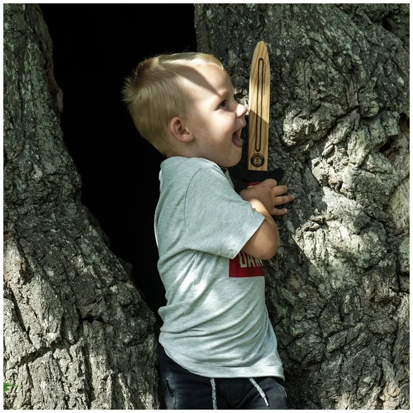 Liontouch - WoodyLion Mini Sword · Gold/Black - The WoodyLion Line - Pretend Professions & Role Playing