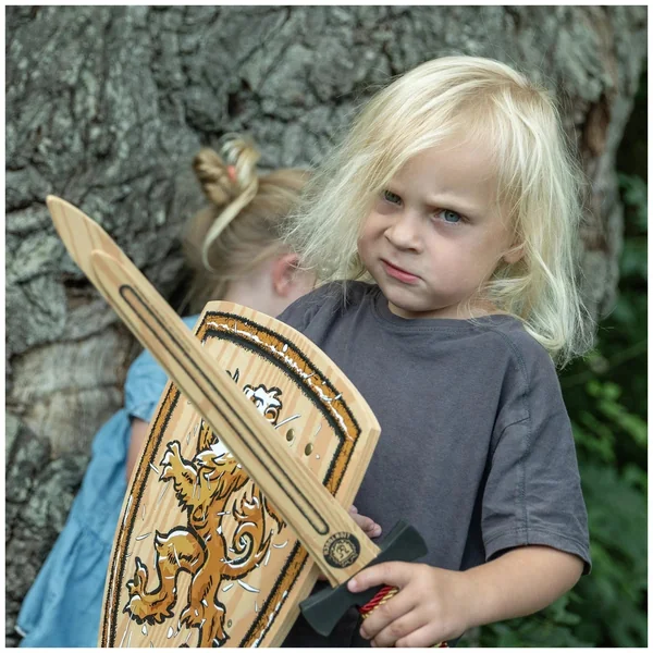 Liontouch - WoodyLion Sword · Gold/Black - The WoodyLion Line - Pretend Professions & Role Playing