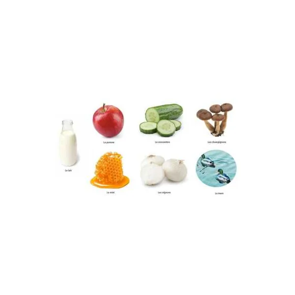 Mon livre des odeurs et des couleurs La ferme - Auzou