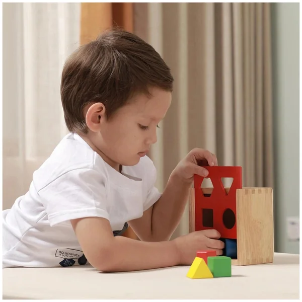 New Classic Toys - Colorful Shape Sorter - Baby Activity Toys