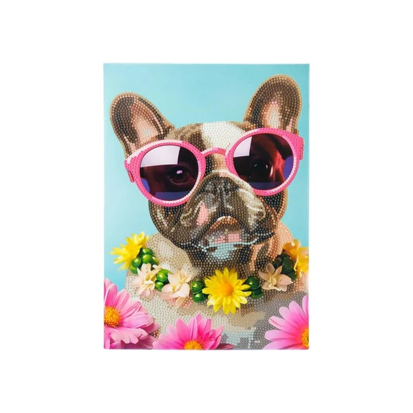 Nice - Diamantiny Artist Level Up Painting On Canvas Pets - Random Selection - Arts & Crafts