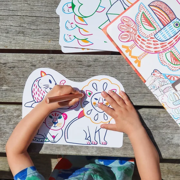 POCHETTE IMAGES A COLORIER - FAMILLES SAUVAGES