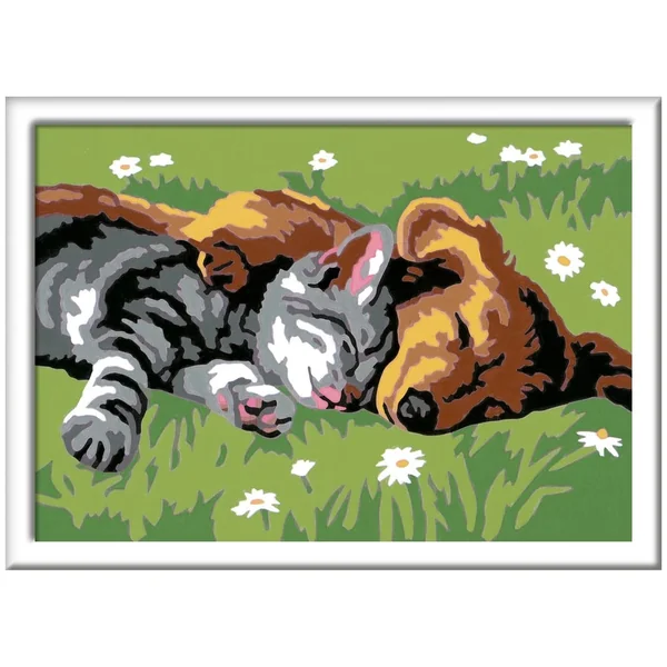 Ravensburger - Creart Sleeping Cats And Dogs - Painting By Numbers - Arts & Crafts