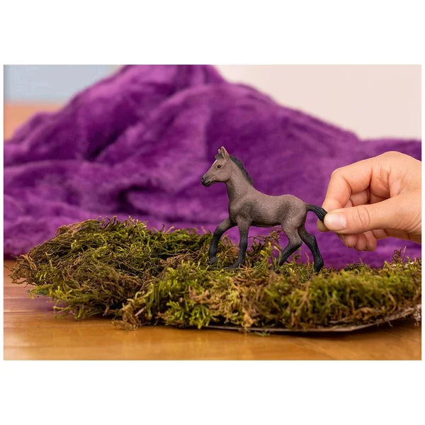 Schleich - Horse Club - Paso Peruano Foal - Action & Toy Figures - 13954