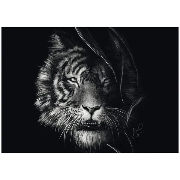 SCHMIDT SPIELE - Wilderness – Tiger: the epitome of freedom 1000 Pcs Adult puzzles - Puzzles