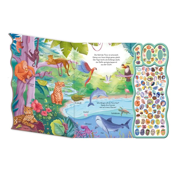 Trötsch Verlag - Books - Mein Grosses Soundbuch - Animal Sounds - 3 Years - Educational Play