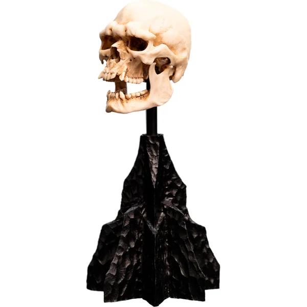 Weta Workshop Le Seigneur des Anneaux - Crâne Miniature d'un Orque du Mordor