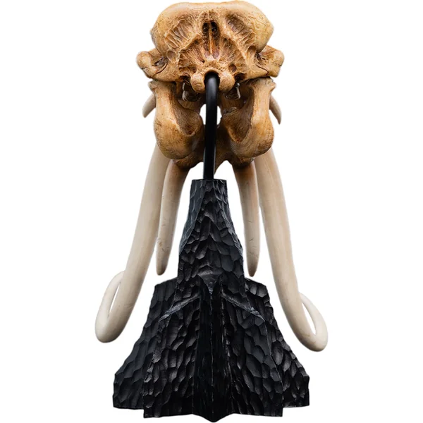 Weta Workshop Le Seigneur des Anneaux : Miniature Crâne d'un Mumak