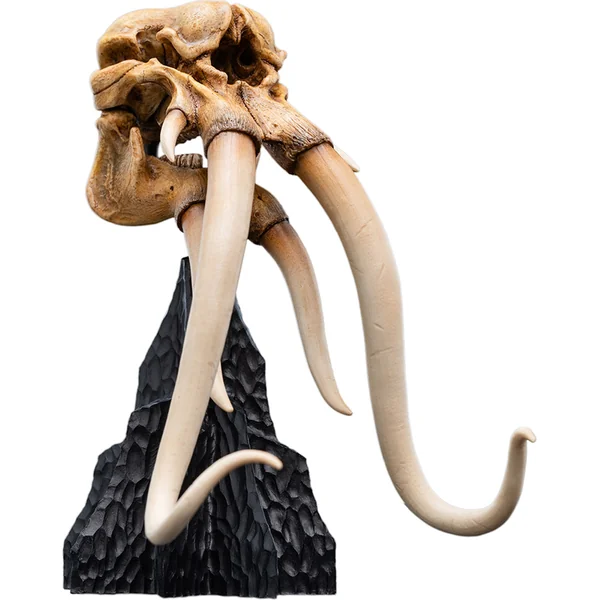 Weta Workshop Le Seigneur des Anneaux : Miniature Crâne d'un Mumak